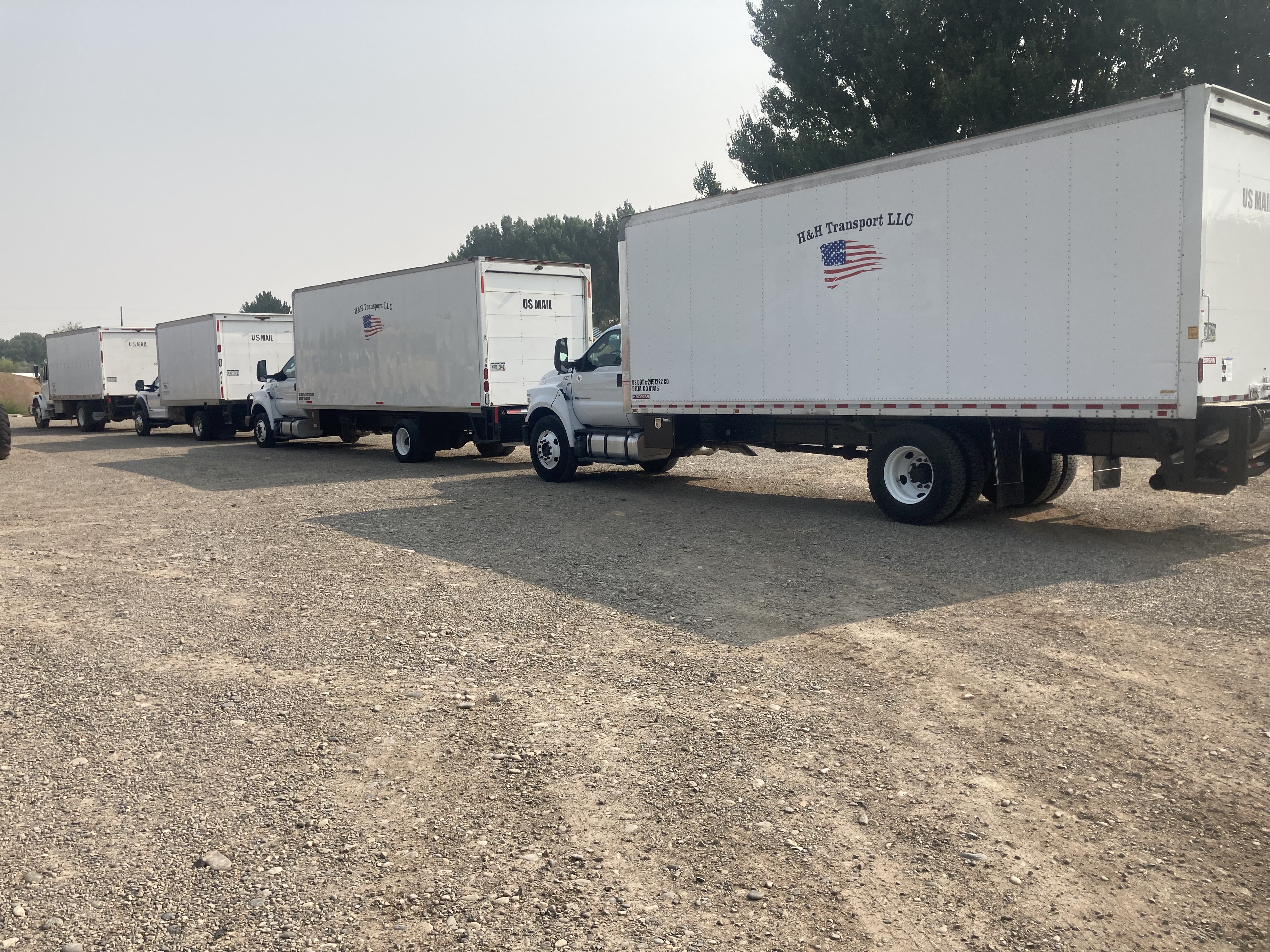 Download conditional job offer form